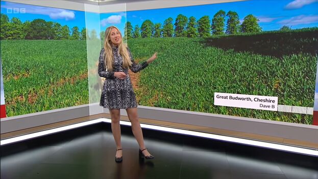 Full leaked Local tv presenters private onlyfans photo