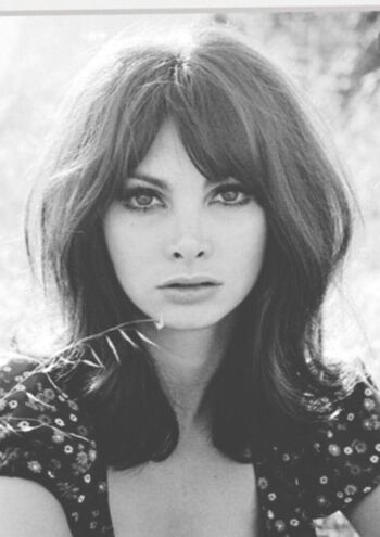 Full leaked Vintage starlets private onlyfans photo